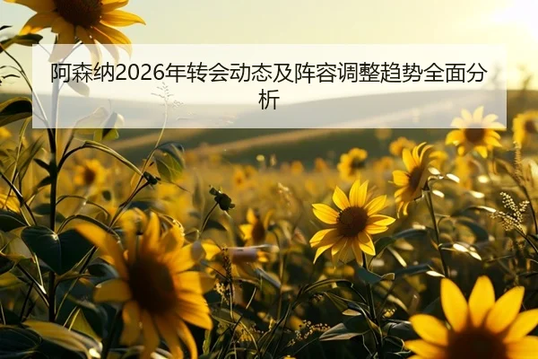 阿森纳2026年转会动态及阵容调整趋势全面分析